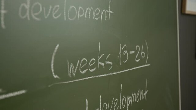 Close-up of hand of anonymous female teacher underlining pregnancy trimesters by weeks on blackboard, highlighting development stages, while conducting reproductive health education lesson