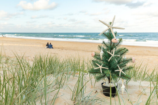Small Christmas tree with starfish and shell ornaments on sand dunes at beach