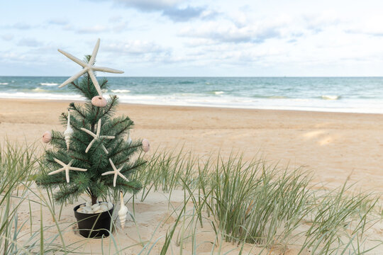 Christmas tree with starfish, shell ornaments in left third of sand dunes with ocean and blue sky