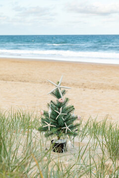 Christmas tree with starfish, shell ornaments centred in grassy sand dunes with ocean and blue sky