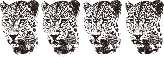 Obraz premium four detailed jaguar faces in black and white, wild big cats with spotted fur and intense gaze