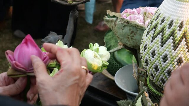 Folding lotus petals to arrange into lotus bouquets. Taking photos with a lotus bouquet is currently trendy among Thai Gen Z.