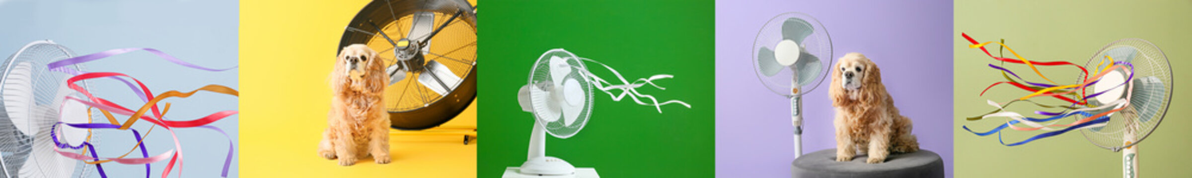 Collage of modern electric fans and cute dog on color background