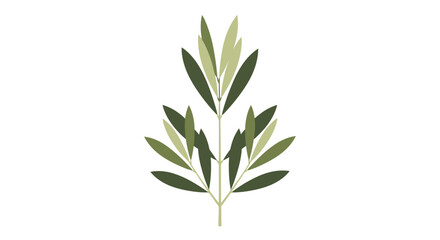 Fototapeta premium Stylized Minimalist Olive Branch Illustration with Green Leaves Graphic Design Element