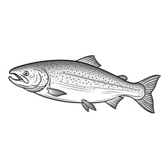 Obraz premium A detailed illustration of a salmon swimming in water with fins and scales.