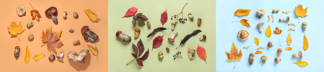 Naklejka premium Collage of many mushrooms and autumn leaves on color background, top view