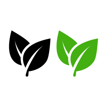 Two leaves icon. Leaf symbol. Nature organic isolated illustration. Vegetarian or vegan label. Green eco logo.