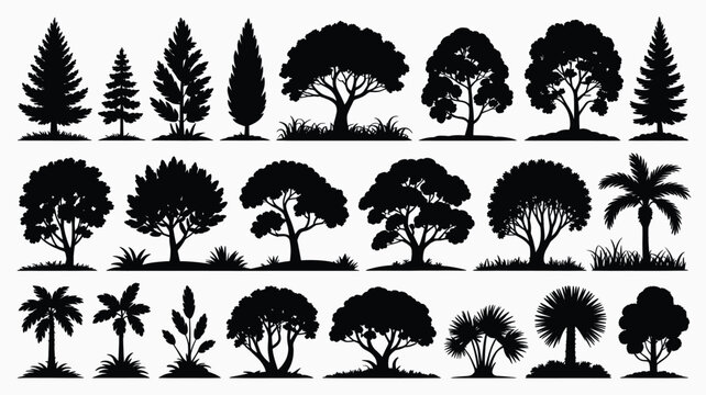 A detailed collection of black tree silhouette vector graphics featuring various species like pine oak and palm plants for diverse professional landscaping design projects today.