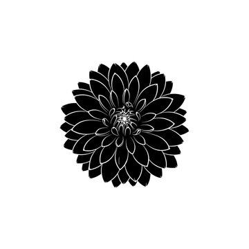 Black Dahlia Flower with Red NHD Badge on White Background