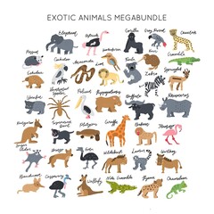 Fototapeta premium Exotic animals cute cartoon clipart set safari wildlife illustrations collection