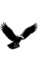 Fototapeta premium Eagle in flight silhouette bird.