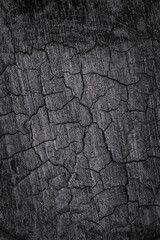 Fototapeta premium Surface of cracked black wood showing detailed texture and lines captured in good lighting