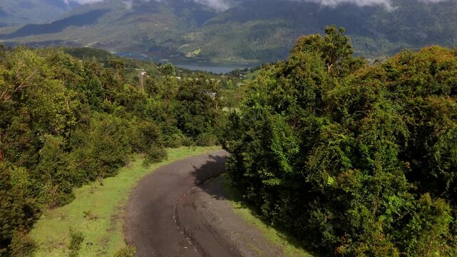 Cinematic Perspective of Side-Tracking Drone Flight Above Forest Mountain Road