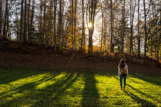 Woman traveler enjoying golden light in an autumn forest clearing, showcasing outdoor lifestyle and nature exploration at Respiro degli alberi path, Lavarone, Paganella, Trentino, Italy.