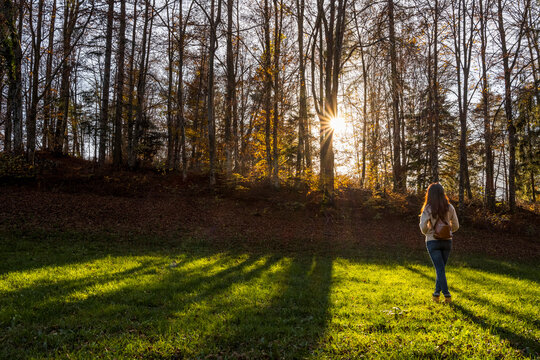 Woman walking in sun-drenched autumn forest, enjoying outdoor lifestyle and freedom, with copy space at Respiro degli alberi path, Lavarone, Paganella, Trentino, Italy.