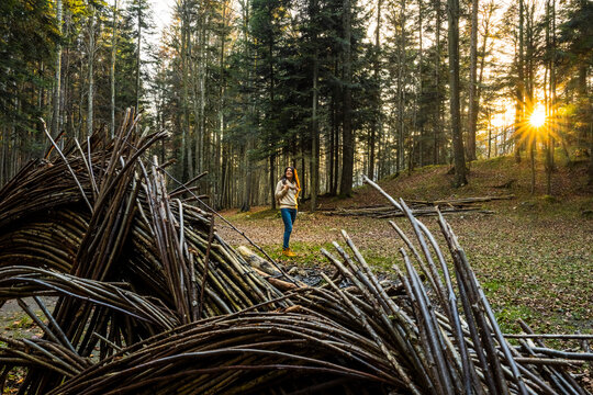 Woman enjoying nature and lifestyle travel, standing near the unique Respiro degli alberi path with sun rays filtering through tall trees in Lavarone, Paganella, Trentino, Italy.