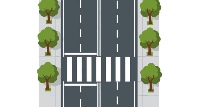 Top-down view of a city street with a pedestrian crosswalk and trees lining the sidewalks, showcasing urban infrastructure and a safe crossing point