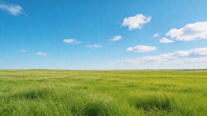 Fototapeta premium Sunny Summer Field, Clean Blue Sky and Lush Green Grass