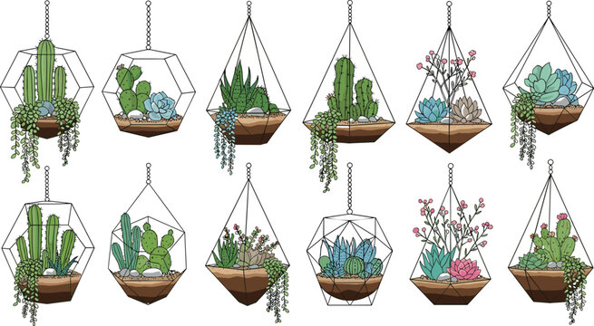 Hanging Terrarium Plant Set with Succulents Cactus and Geometric Glass Planters Vector Collection for Indoor Garden Decor and Botanical Design