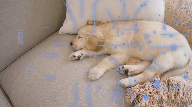 Blue pixel overlay appearing, golden pup shifting paws, overlay fading on sofa for filter demo