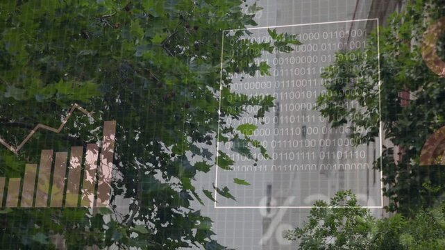 Data overlays fading in over tree canopy, line chart rising, bars filling, visualizing analytics