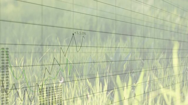 Warm light washing scene, grid lines and charts fading in over grass, highlighting rising gains