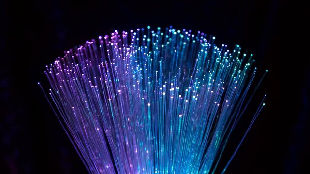 Glowing fiber optic cables bundle with blue and purple lights