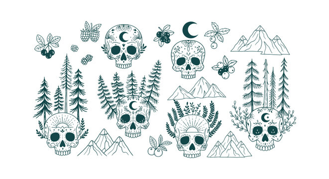 Mystical Forest Skull Vector Set with Mountains Pine Trees Crescent Moons and Wild Berry Elements
