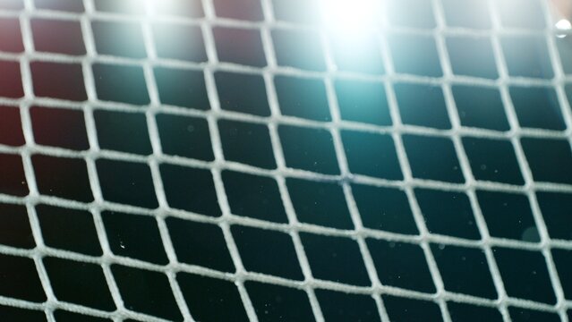 An ice hockey puck hitting the back of the net