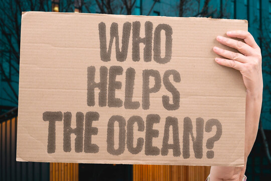 "Who Helps The Ocean?" research examines ocean protection measurably insufficient in adult modern daily contexts. REAL. LIFE. MODERN. EARTH. OCEAN.