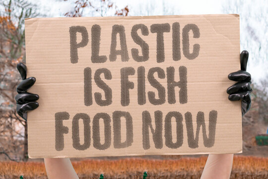 "Plastic Is Fish Food Now" research confirms plastic measurably present in marine fish daily ocean feeding habits. REAL. LIFE. MODERN. EARTH. OCEAN.