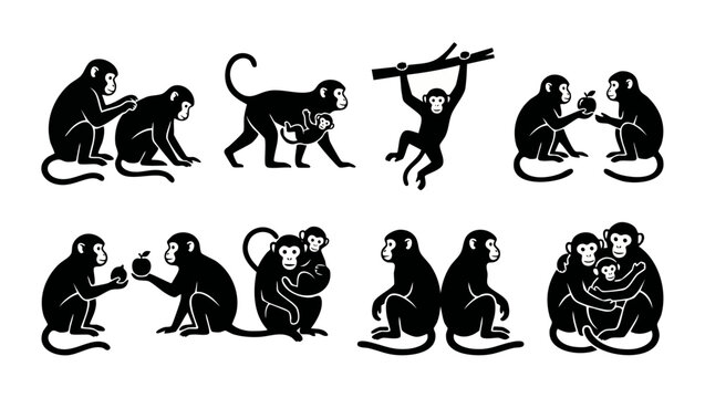 Monkey silhouettes vector set, diverse ape poses and group interaction icons. Flat black animal figures, primate behaviors, social monkey family, climbing, eating fruit and cuddling symbols for graphi