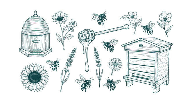 Vintage Beekeeping Vector Illustrations with Honey Bees, Beehives, Honey Dipper, and Wildflowers