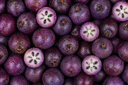 Purple star apple fruit pattern tropical exotic texture background