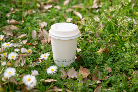 Eco friendly disposable coffee cup on green grass with wildflowers, sustainable takeaway concept