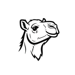Fototapeta premium Black and white line art illustration of a camel head, depicting its distinctive profile with a serene expression, perfect for nature, travel, and animal-themed