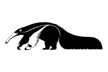 Giant anteater silhouette a striking black and white illustration of a unique mammal © graphixarrow