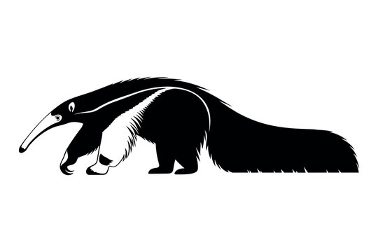 Giant anteater silhouette a striking black and white illustration of a unique mammal