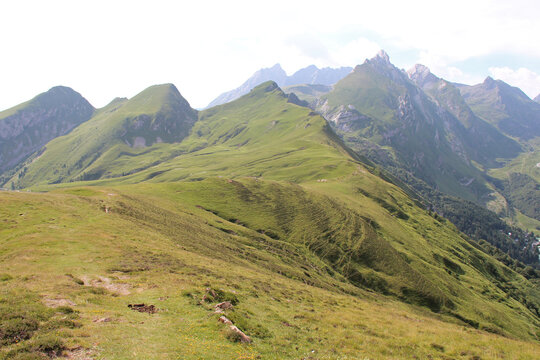 aubisque pass at the pyr&eacute;n&eacute;es in france 