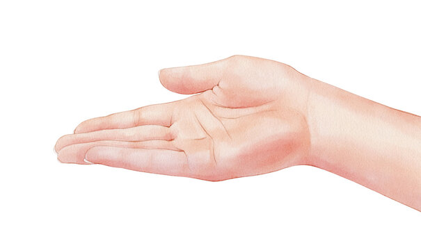 Open hand palm drawn in watercolor style, human gesture illustration suitable for product display, packaging, branding, advertising, presentation and design layouts