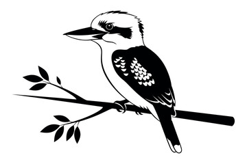 Kookaburra silhouette perched on a branch a striking black and white illustration © graphixarrow