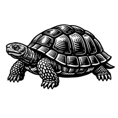 Fototapeta premium A black and white illustration of a turtle walking on a plain background with its head and legs outstretched