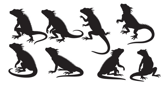  lizards silhouettes vector illustration