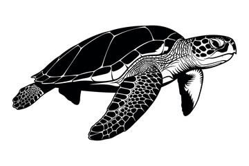 Elegant sea turtle silhouette a detailed black and white illustration of marine life © graphixarrow
