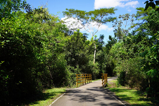 Bridge on a scenic walking path in Mae Bonifacia Park, Cuiaba, Mato Grosso, Brazil