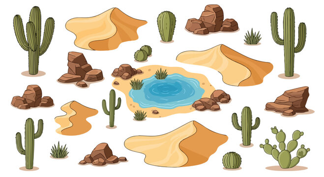 Desert landscape elements set with saguaro cactus and sand dunes, wild west nature vector icons, arid environment oasis with water and rocks