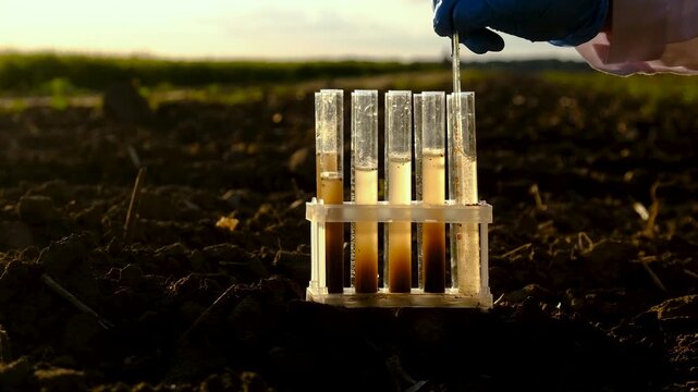 Field soil samples for analysis. Selective focus.