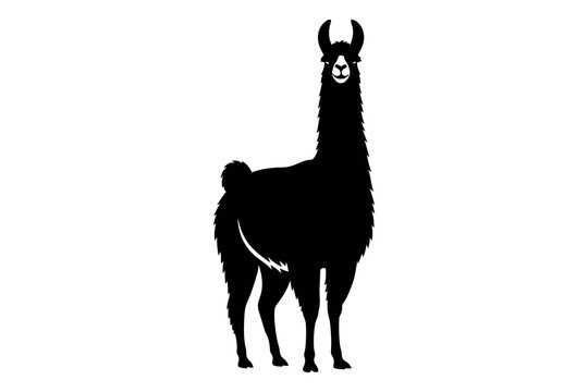 Llama silhouette a striking black outline of a south american camelid against a white background