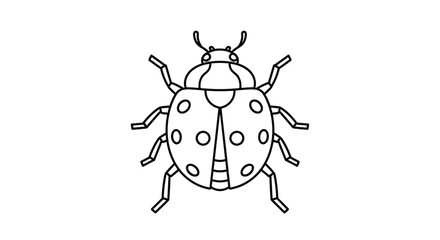 Fototapeta premium Detailed line art illustration of a seven-spotted ladybug seen from above for nature and insect related projects.