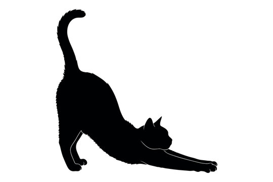 Stretching cat silhouette a graceful black feline in a dynamic yoga like pose